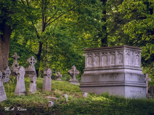 oakwood cemetery (syracuse new york) tours